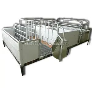 Grande fram porco alimentação equipamentos porca grávida stall porco Gestando stall design profissional muito tempo trabalhando Tubular Sow Stalls