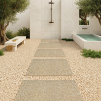 Penjualan terlaris 60x60 600x600 20mm Non Slip Rustic Carrelage eksternal granit ubin eksternal luar ruangan untuk taman halaman parkir lantai