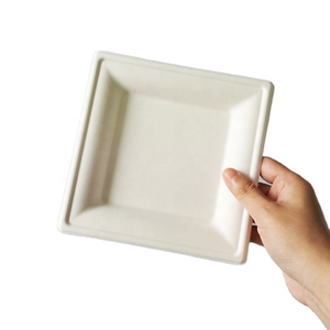 Customized Biodegradable Disposable Compostable Square Plates Party Paper Serving Set Sugarcane Sushi Meat Bagasse Tray