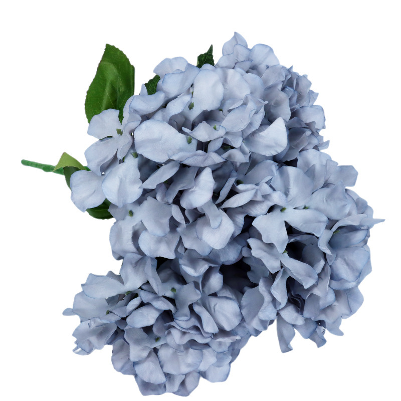 Hydrangée bleue, peinture à l'huile, 5 branches