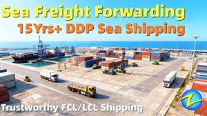 Agent maritime chinois DDP, fret maritime, Yancheng, Nantong, Shanghai, expédition express porte à porte vers Tripoli, Pointe-Noire, Ouagadougou, Oran - Product Image 5