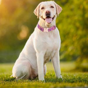 Collier pour chien avec boucle en métal rose doré, logo personnalisé, rubans en tissu bohème, laisse pour animaux de compagnie en nylon et polyester durable pour chiens et chats - Product Image 6