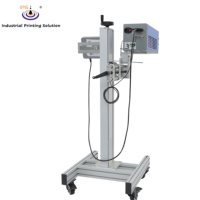 Système d'impression laser CO2 en ligne haute vitesse 12000 mm/s pour le codage laser en vol sur ligne de mise en bouteille et d'emballage continue