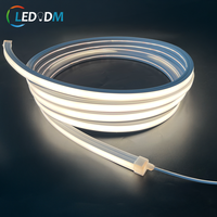 Luces de Navidad WS2811 RGBIC NEON, Tira de Luces LED RGB de Neón Flexible de 24v, Tira de Luces LED de Neón de 10m 20m, Iluminación Navideña IP67