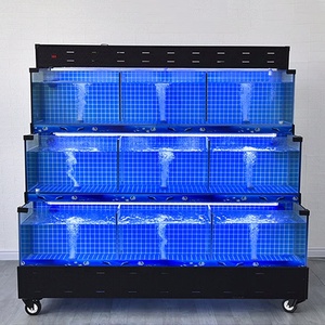 Sistema de acuario sostenible con exhibición de 1.5L para mariscos, langosta azul y peces vivos, con enfriador de 1.5hp y tanque de vidrio, para supermercados y restaurantes. - Product Image 2