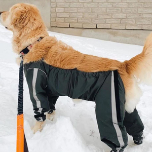 Cães calças ajustável <span class=keywords><strong>4</strong></span> calças pernas suspensórios cão backless cão inverno temporada calças - Product Image 2