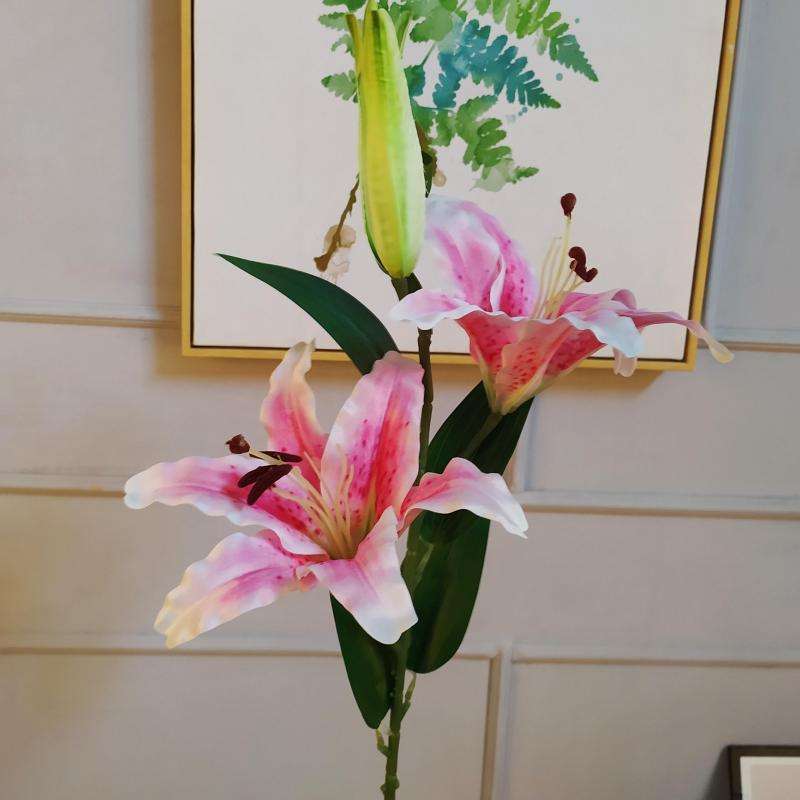 สีชมพูอ่อน