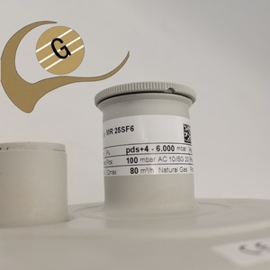 Regulador de Presión de <span class=keywords><strong>Gas</strong></span> Elster MR25 <span class=keywords><strong>SF6</strong></span> MR50 <span class=keywords><strong>SF6</strong></span> 100% Nuevo y Original, Piezas para Calderas - Product Image 1