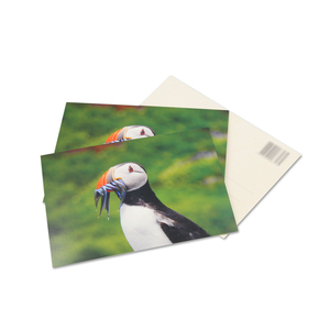 Fabbrica a basso prezzo all'ingrosso di alta qualità personalizzato carta di ringraziamento per le piccole imprese doppia carta offset cartolina