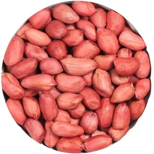 Produk beku kualitas baik kacang beku rebus asin