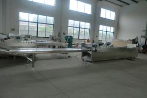 Ligne de production de céréales chocolat, baskets à haute sortie, g - Product Image 6