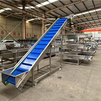 Continue vortex wasmachine voor het reinigen van kool, salade en groenten