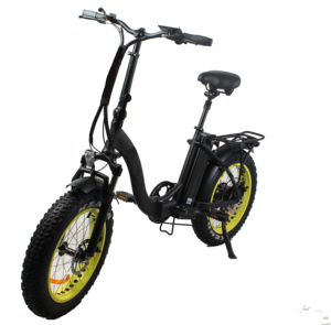 Fourche arrière 250W/350W/500W/750W/1000W et gros pneu personnalisé/montagne/neige/ville 2019/2020/<span class=keywords><strong>2021</strong></span> bic électrique - Product Image 2