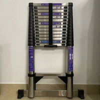 Échelles télescopiques industrielles en aluminium SURESTEP, design traditionnel EN131, capacité de charge 150 kg, 12 marches, compactes pour appartement et entrepôt