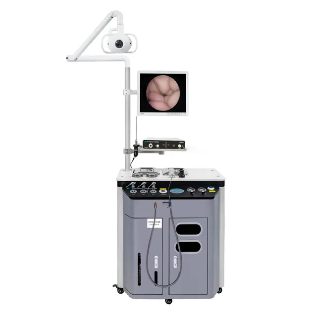 Medical ENT Treatment Unit Set Cheap Price ENT Endoscope Camera Examination Workstation