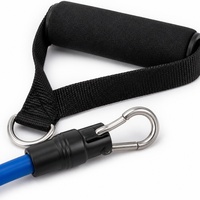 Juego de Bandas de Resistencia de Diseño Nuevo 2026 con Colores Personalizados, con Asas, Correas para Tobillos y Anclaje para Puerta, para Yoga, Gimnasio y Entrenamiento Físico