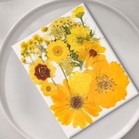 Assortiment de 15 fleurs séchées pressées pour la fabrication de bougies parfumées, les sceaux de cire et la décoration de savons artisanaux
