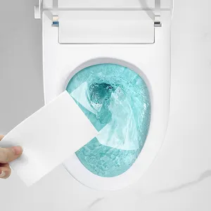 موردو الصين قوالب المرحاض التنظيف القابل للتحلل مخصصة جودة جيدة ورقة تنظيف قوالب المرحاض