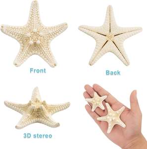 20 PCS 1 "-3" Bulk Natural Starfish für Hochzeits strand DIY Crafts Weihnachts baums chmuck - Product Image 3