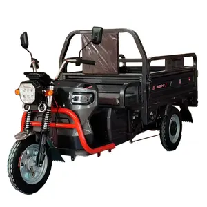 60V 800W LiFePO4 battery 120 km unloaded Fat Tire 3 Wheel Electric Cargo Tricycle for Delivery Electric Trike