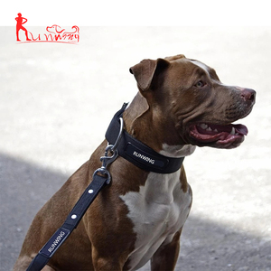 Collare per <span class=keywords><strong>Cani</strong></span> <span class=keywords><strong>Pitbull</strong></span> Resistente a 4 Strati in Nylon da 5 cm di Larghezza per Addestramento - Product Image 6