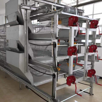 Cage automatique en batterie pour poules pondeuses de type A ferme avicole pour le Nigeria Kenya Guinée