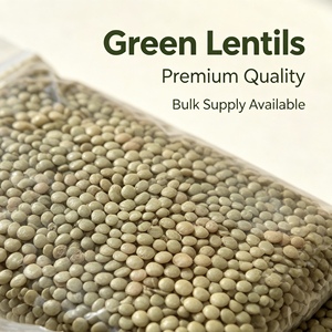 Venta al por mayor de lentejas verdes grandes orgánicas deshidratadas sin OMG de primera calidad con larga vida útil para cocinar y envasar, venta de fábrica - Product Image 4