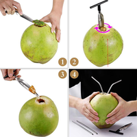 Ouvre-noix de coco manuel à main ouvre-coquille ouvre-noix de coco frais jeune outil de poinçonnage outil de trou avec poignée