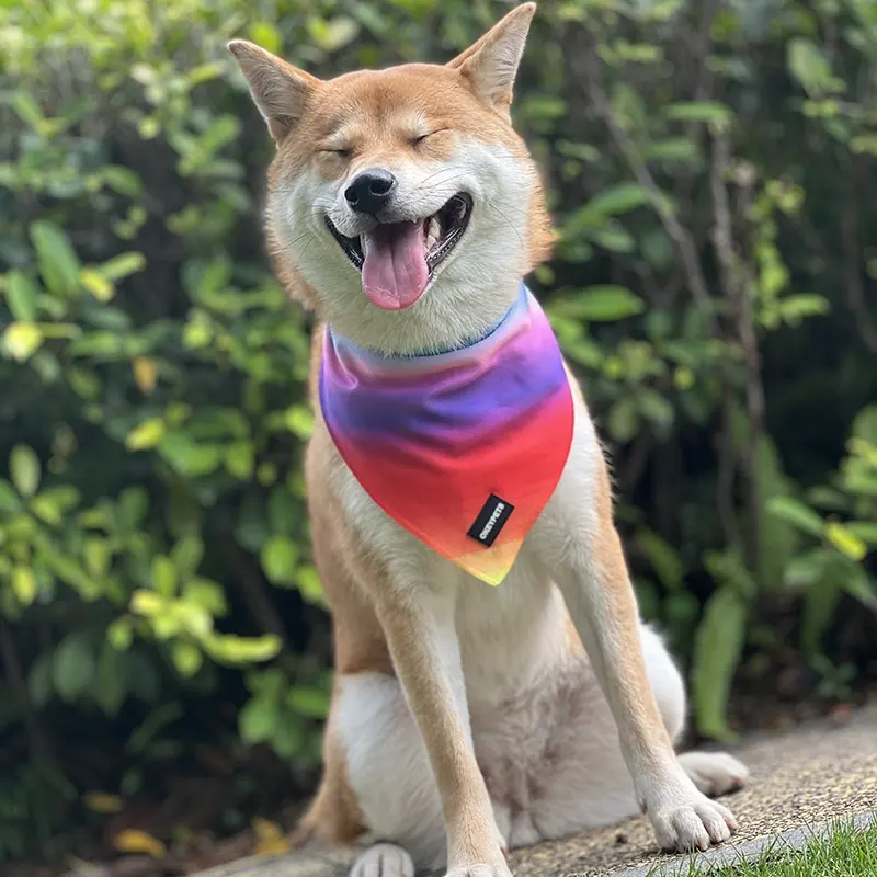 Lenço com estampa de triângulo Eastsunshine personalizado, bandana de refrigeração para cães com logotipo personalizado, bandana personalizada para cães, ideal para o verão