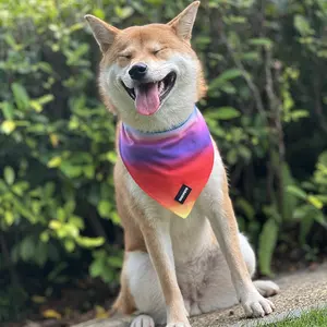 Eastsunshine triangle imprimé personnalisé écharpe logo personnalisé chien bandanas de refroidissement impression personnalisée chien Bandana cool pour l'été