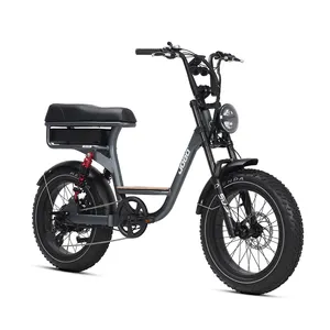 New Fashion 20 Inch Foldable Powerful Electric City Bike E Bike Fat Tire 48V Ebike