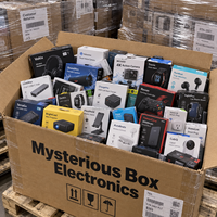 Jeu d'aventure mystère international en palettes : Gadgets électroniques et accessoires (5 à 10 articles) – Stock en gros pour la revente aux détaillants