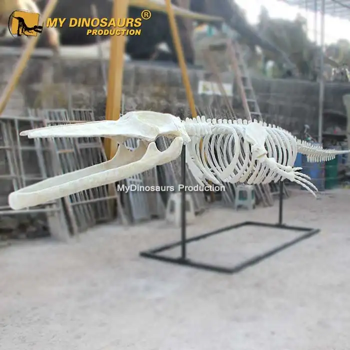 Modelo de esqueleto de ballena azul, resina de fibra de vidrio V, a la venta