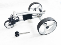 Chariot de golf électrique topsun