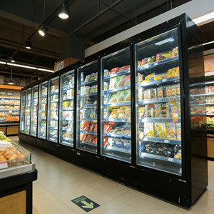 Congelatori Commerciali con Porte in Vetro, Attrezzature di Refrigerazione Verticali, Armadi per la Conservazione degli Alimenti Freschi, Vetrine Refrigerate per Esposizione Cibo - Product Image 5