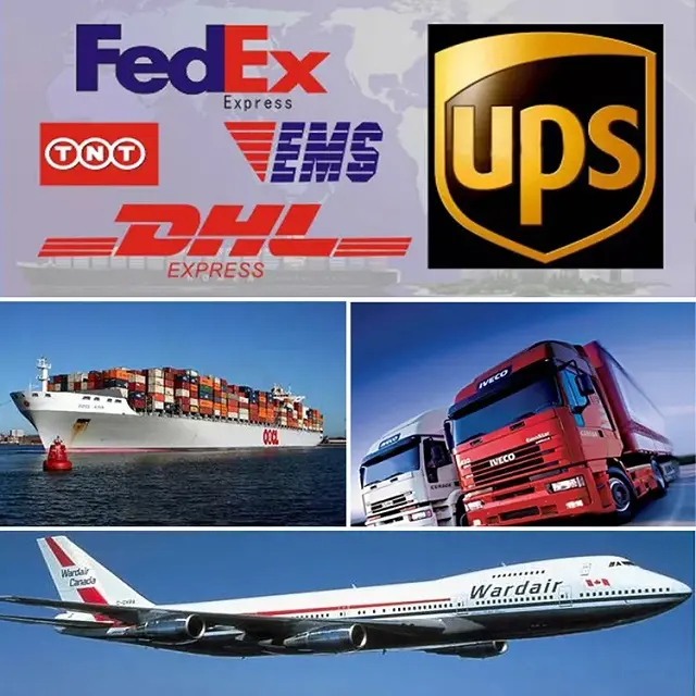 Agente de envío que proporciona entrega de Ups para enviar desde China a Colombia/EE. UU./nigeriano/Canadá/Filipa/India/EE. UU.