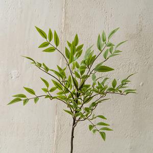 Flores Artificiales Green-Trace de Ramas Cortas de <span class=keywords><strong>Nandina</strong></span> para Decoración del Hogar, Ramos de Boda, Rosas y Flores de Pared - Venta Transfronteriza - Product Image 3