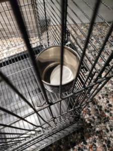 Ingrosso fabbrica di lusso di alta qualità grande gabbia per pappagalli in metallo pesante casa per uccelli facile da pulire e durevole custodia per <span class=keywords><strong>nido</strong></span> di uccelli - Product Image 6