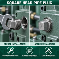 Bouchon de tuyau carré sur mesure, filetage mâle NPT BSPT, raccord hydraulique pneumatique, OEM personnalisé