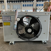 AX DL Serie Koudecel Verdamper Unit Koeler voor Opslag van Vers Fruit en Groenten, Middelhoge Temperatuur, Fabriekslevering