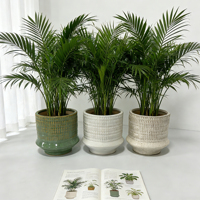Pot de fleurs en céramique pour plantes d'intérieur, pot de fleurs de jardin avec trou de drainage, pots de fleurs en céramique texturée, vente en gros, lot de 2