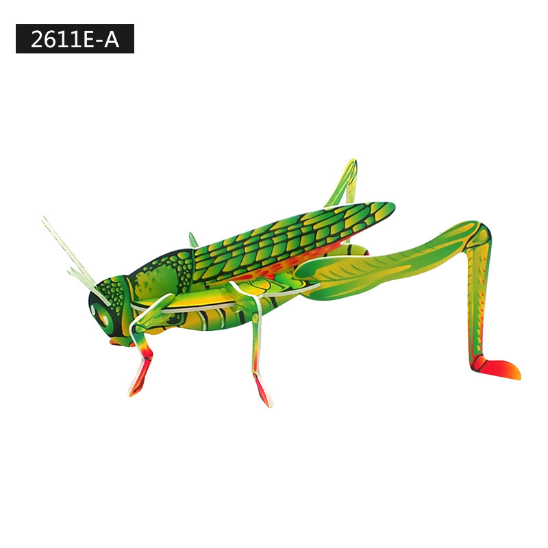 2611E-A Insecte