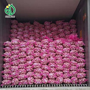 <span class=keywords><strong>Ail</strong></span> <span class=keywords><strong>Éléphant</strong></span> <span class=keywords><strong>Prix</strong></span> 10KG/CTN 5.5MM <span class=keywords><strong>Ail</strong></span> Blanc Frais en Stockage Congelé - Product Image 6