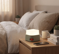Lampe de nuit LED carrée portable, style rétro, avec variateur d'intensité, pour chambre à coucher, maison, camping, cadeau