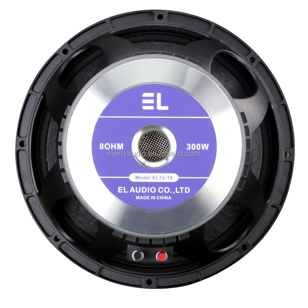 Pa speaker 10 inches and 250mm nominal diameter
