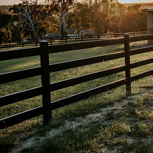 Valla de seguridad para puerta portátil con recubrimiento de polvo Negro, Ciervo, ganado, 8 pies, 4 rieles, tablero de acero, valla para rancho de caballos - Product Image 4