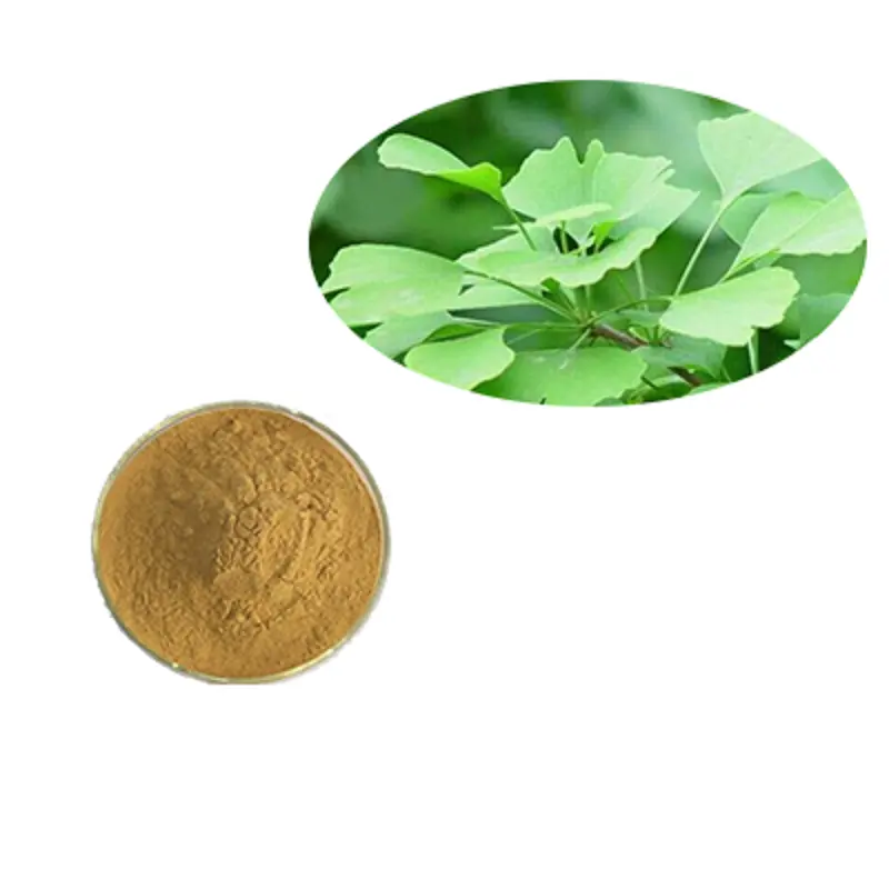 pure high quality Food grade health Ginkgo biloba extract powder