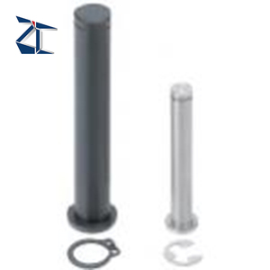 ZCHCDG 304 RVS scharnierpen ronde kop pen schacht platte kop met borgring met flens - Product Image 5