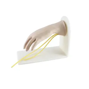 Alto grado di restauro di dettaglio della mano avanzata vena dorsale modello di iniezione nella scuola di medicina - Product Image 1