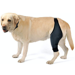 Penyangga Lutut Anjing <span class=keywords><strong>Sport</strong></span> Nylon 100% yang Dapat Disesuaikan, Penutup Hook and Loop, Tebal, Bernapas, Perlindungan untuk Pemulihan ACL, Ukuran Kaki Besar - Product Image 1